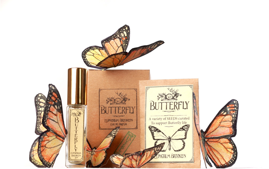 butterfly_set_butterflies_2