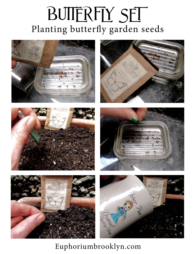 planting_butterfly_garden